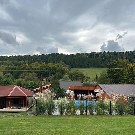 Вилла U Zrodel Strwiaza Устшики-Дольне Экстерьер фото